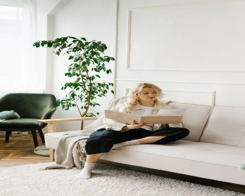 A person comfortably reading a book in a bright room with a plant and natural light